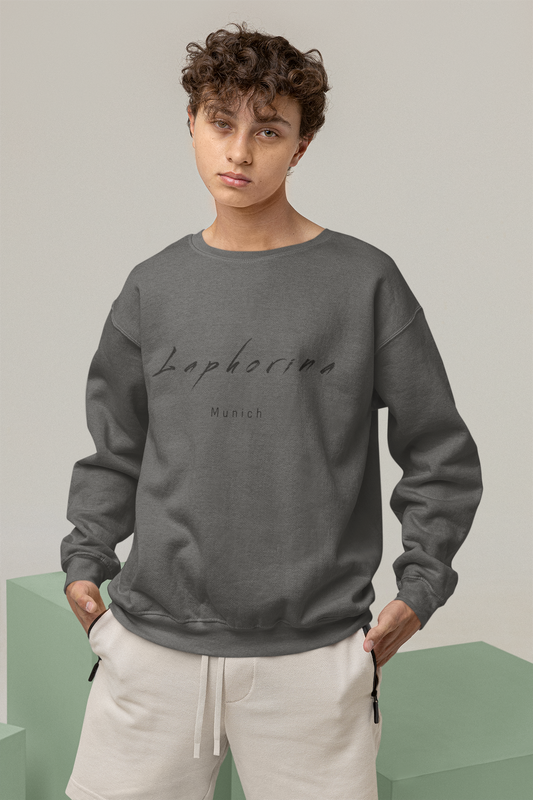 Herren Sweater Dunkelgrau